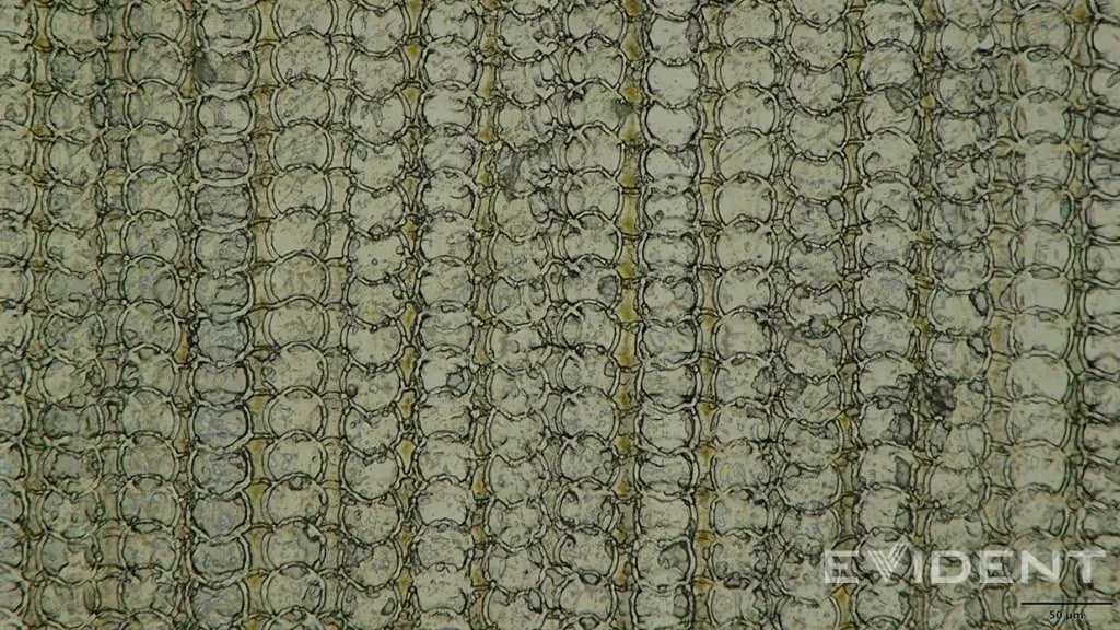 اپل با الهام از پزشکی، پورت USB-C آیفون ایر را با فناوری چاپ سه‌بعدی تولید کرد